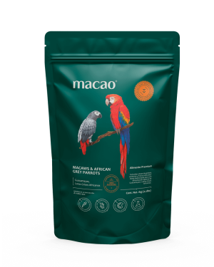 Macaws & African Grey Parrots